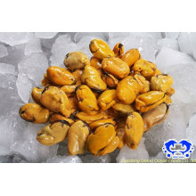 frozen without shell blue mussel meat